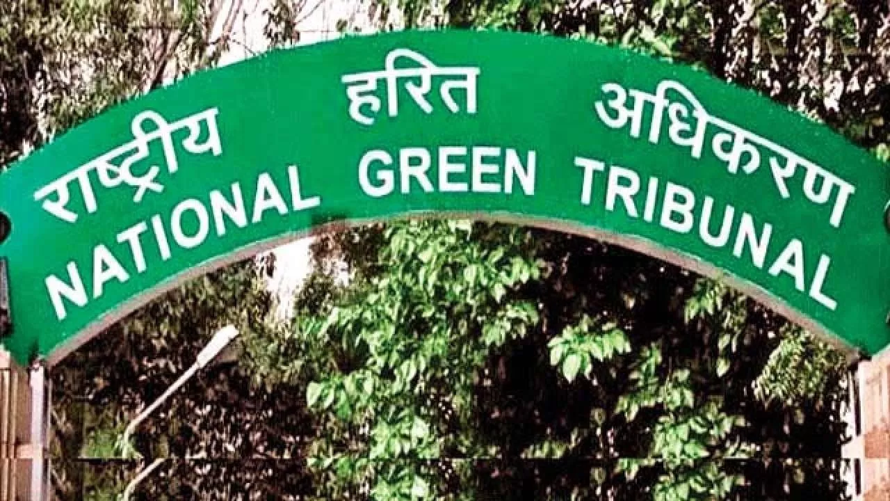 NGT Recruitment 2022 OUT